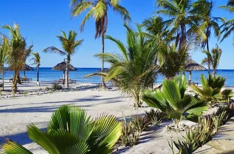 Hôtel The Sands Beach Resort pongwe REPUBLIQUE-UNIE DE TANZANIE