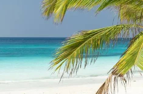 Hôtel Tikitam Palms Boutique Hotel pongwe REPUBLIQUE-UNIE DE TANZANIE