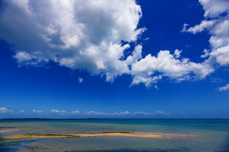 Hôtel Golden Tulip Zanzibar Resort zanzibar REPUBLIQUE-UNIE DE TANZANIE