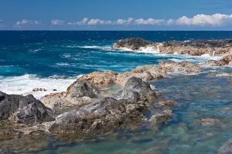 Sud Sauvage