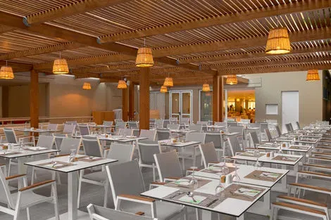 Terrasse restaurant Artemis