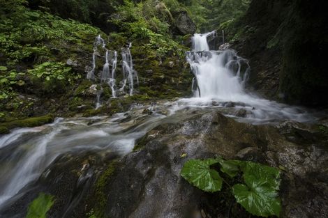 Parc national de Bucegi