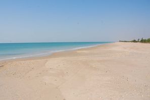 Senegal-Dakar, Hôtel Ecolodge de Palmarin