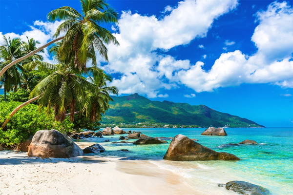 Seychelles : Hôtel Sun Properties and Resort
