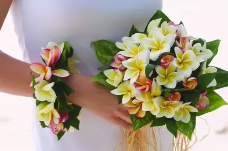 Hôtel Four Seasons Resort Seychelles victoria SEYCHELLES