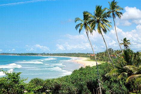 Bentota