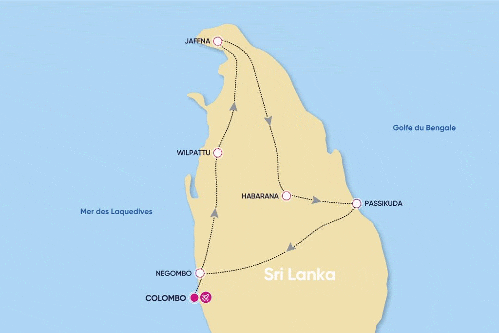 Circuit Secrets du Sri Lanka en petit groupe : culture, plages sauvages et safari colombo Sri Lanka