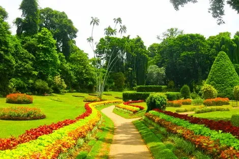 Combiné circuit et hôtel Odyssée Sri lankaises 4*sup & Extension au Jet Tours Signature Citrus Waskaduwa colombo Sri Lanka