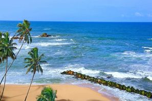 Sri Lanka-Colombo, Hôtel Amari Galle 5*