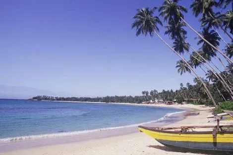 Circuit Kappa Découverte Au Sri Lanka 4* & extension Meeru Island Resort and Spa colombo Sri Lanka