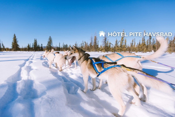 Suede : Hôtel Pite Havsbad - Séjour au coeur de la Laponie Suédoise