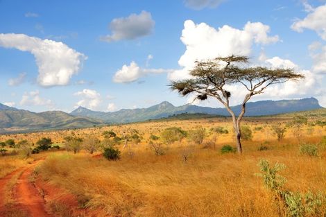 Circuit Découverte de la Tanzanie & Zanzibar arusha Tanzanie