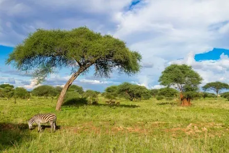 Combiné circuit et hôtel Couleurs de Tanzanie & 3 nuits Zanzibar en Hôtel kilimanjaro Tanzanie