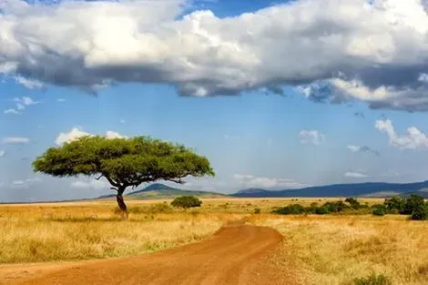 Circuit Immersion en Tanzanie kilimanjaro Tanzanie