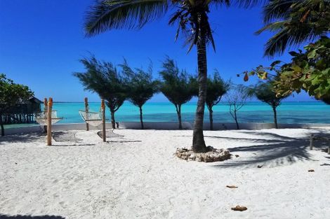 Tanzanie-Zanzibar, Hôtel Reef & Beach Resort 3*