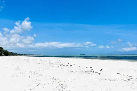 Tanzanie : Hôtel Palumbo Mnemba View Resort - Vente Flash