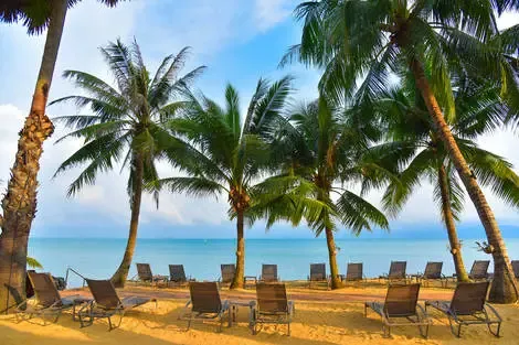 Thailande : Hôtel Paradise Beach Resort