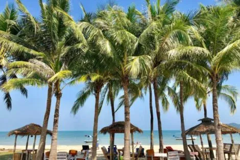 Hôtel MyClub Dolphin Bay Resort sam_roi_yot Thailande