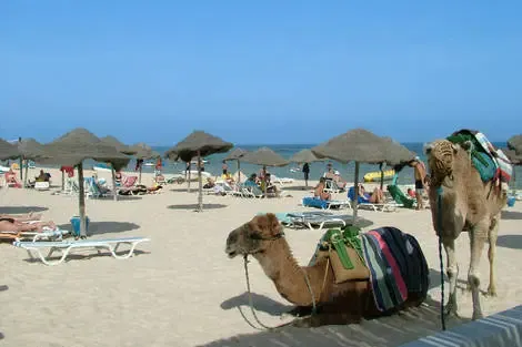 Hôtel Liberty Resort Monastir Tunisie