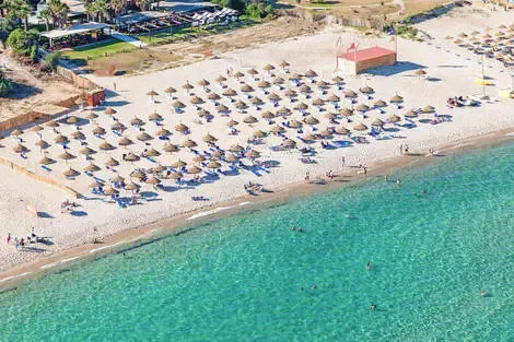Tunisie : Club Bravo Eco Club Yadis Hammamet