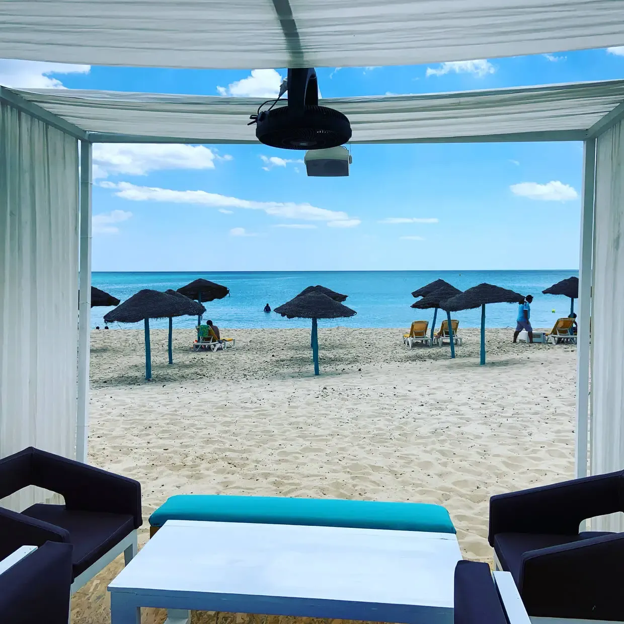 Tunisie : Hôtel TMK Flora Park (Adult Only)