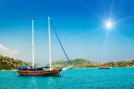 Bateau en bois