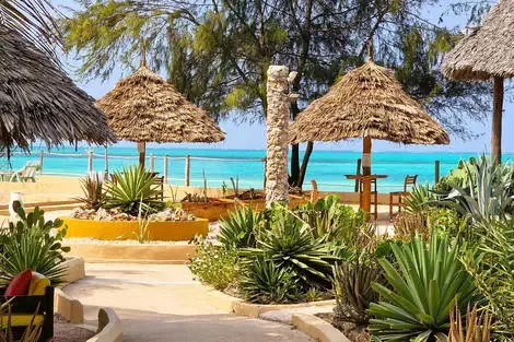 Club Jumbo Reef & Beach Resort (vol de nuit) jambiani Zanzibar