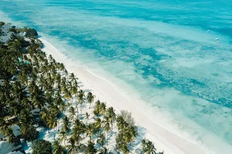 Hôtel Karafuu Beach Resort & Spa pingwe Zanzibar