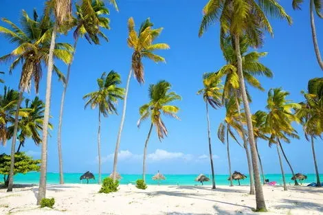 Hôtel Diamonds Mapenzi Beach 4* + Safari 2 nuits pwani_mchangani Zanzibar