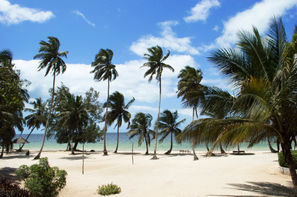 Zanzibar-Zanzibar, Hôtel Chwaka Bay Resort 3*