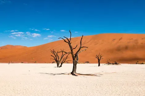 Dead Vlei