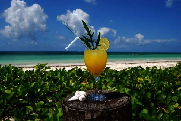 Zanzibar : Hôtel Sahari Zanzibar